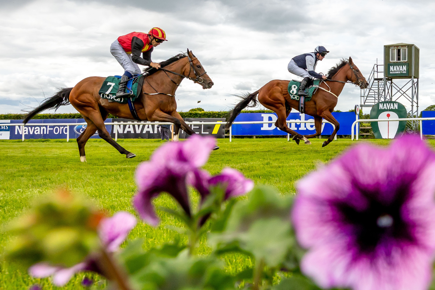 27th August - Flat Racing