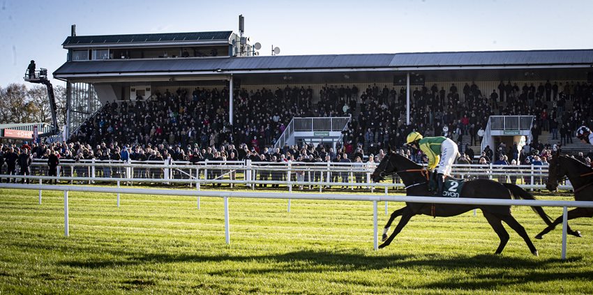 Local Businesses Partner With Navan Racecourse For Key November Race Meetings
