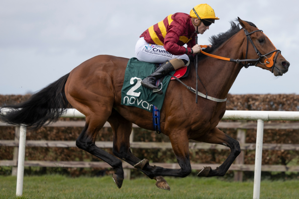 27th August - Flat Racing