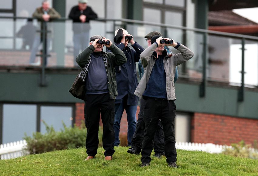 Racegoers watching the horses at Navan 