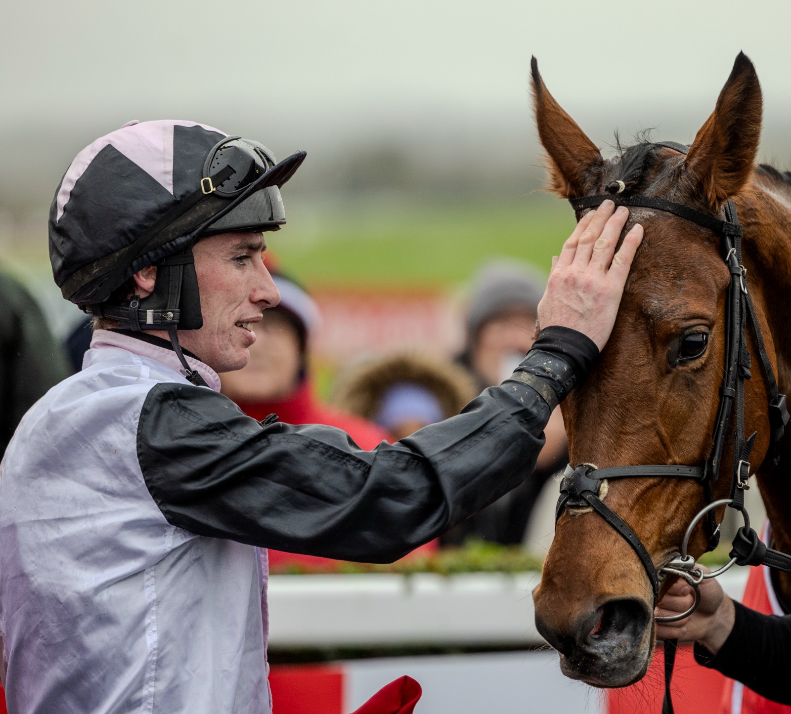 17th May 2025 - Newcomers Race Day