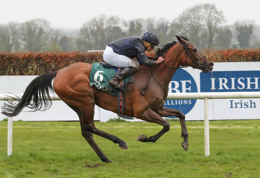 Emily Dickinson winning at Navan