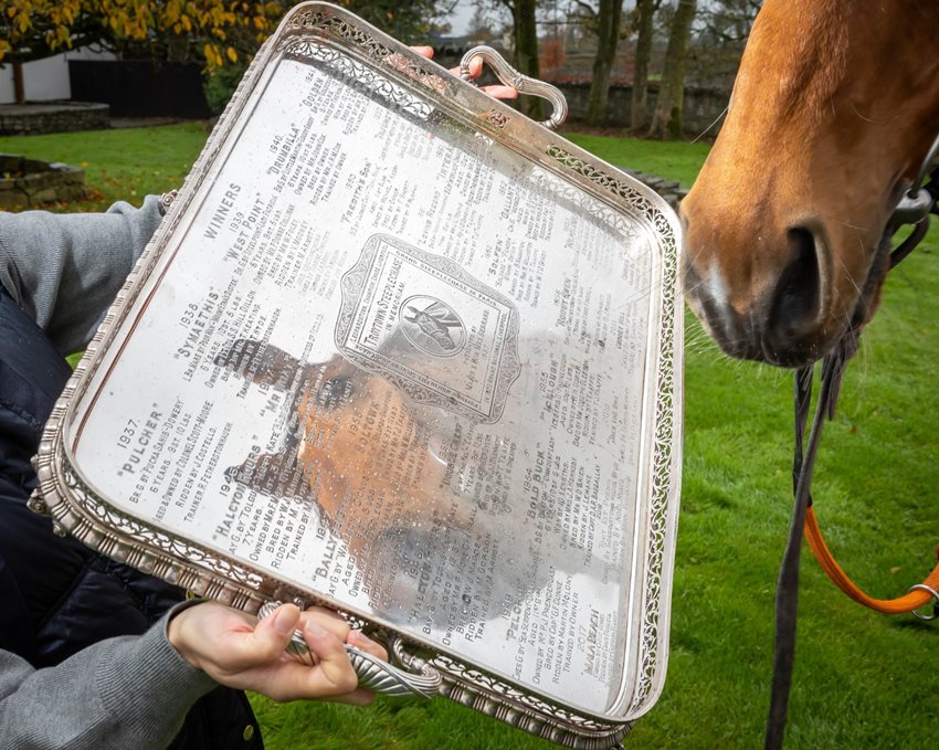 Navan Racing Festival Racing Review 