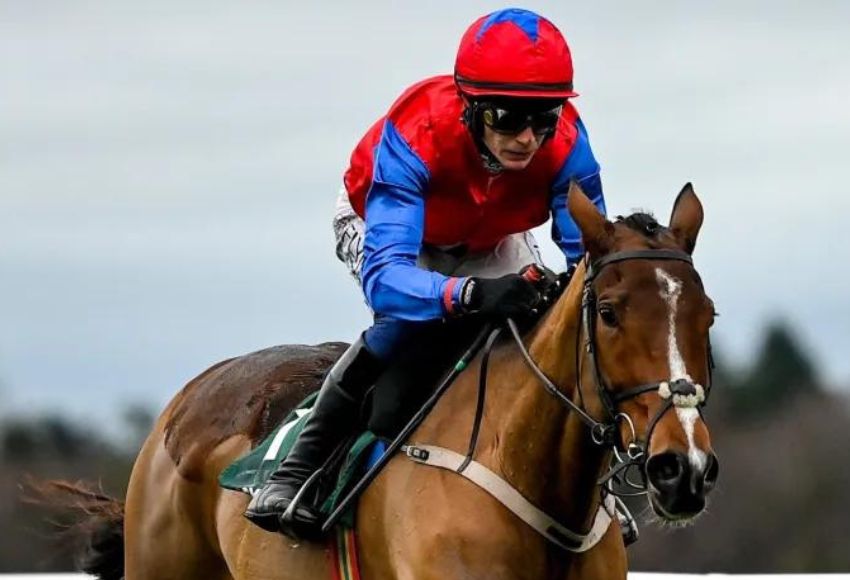 Facile Vega and Paul Townend teaming up