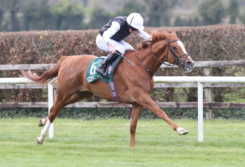 Kyprios winning at Navan Racecourse